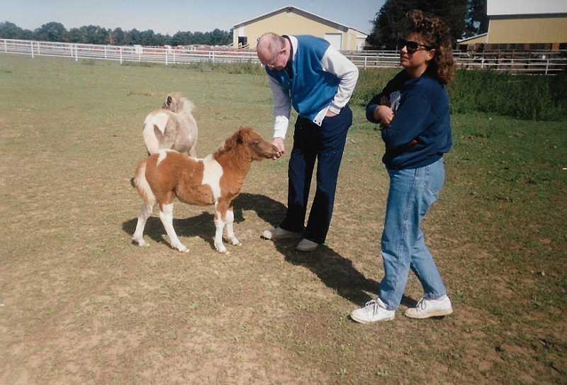 Ray Suring mini horses5.jpeg